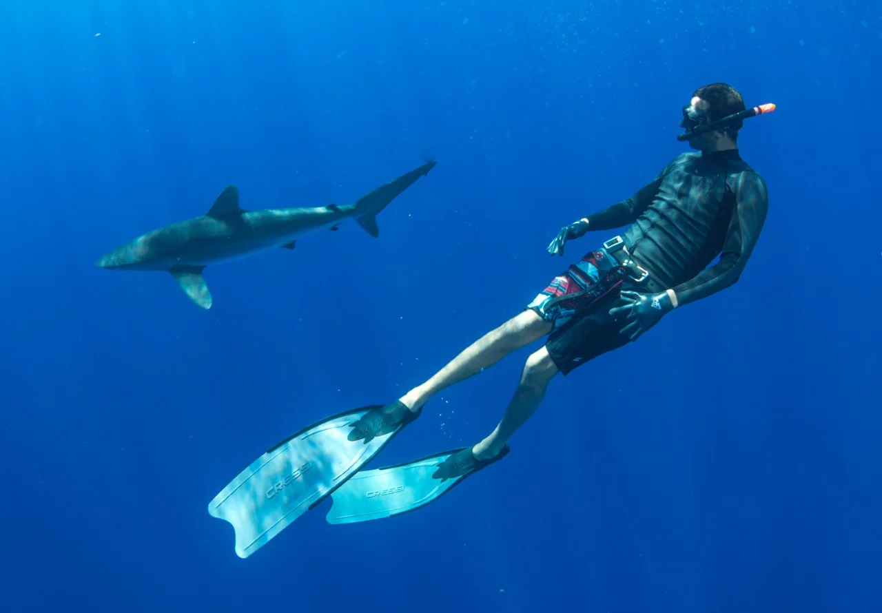 thumbnail_Day 7 - Silky Shark w- Alex 2.jpg