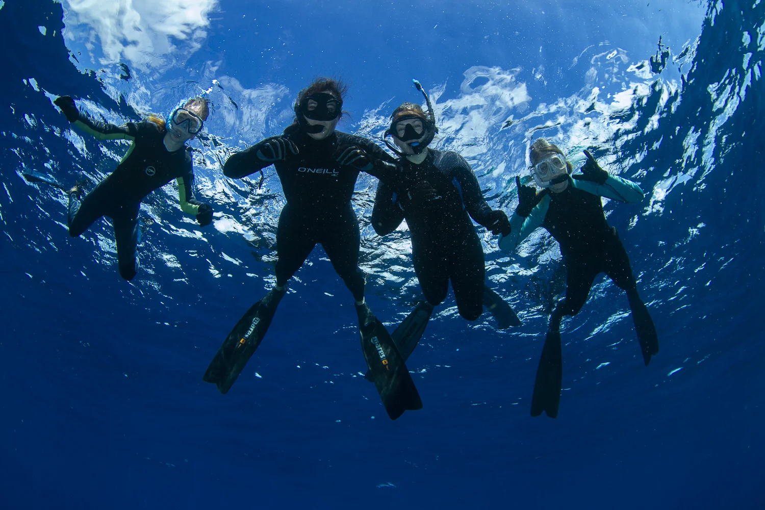 Expedition guests enjoying the eerie depths of the Tongue of the Ocean, some 2000 meters of deep blue!