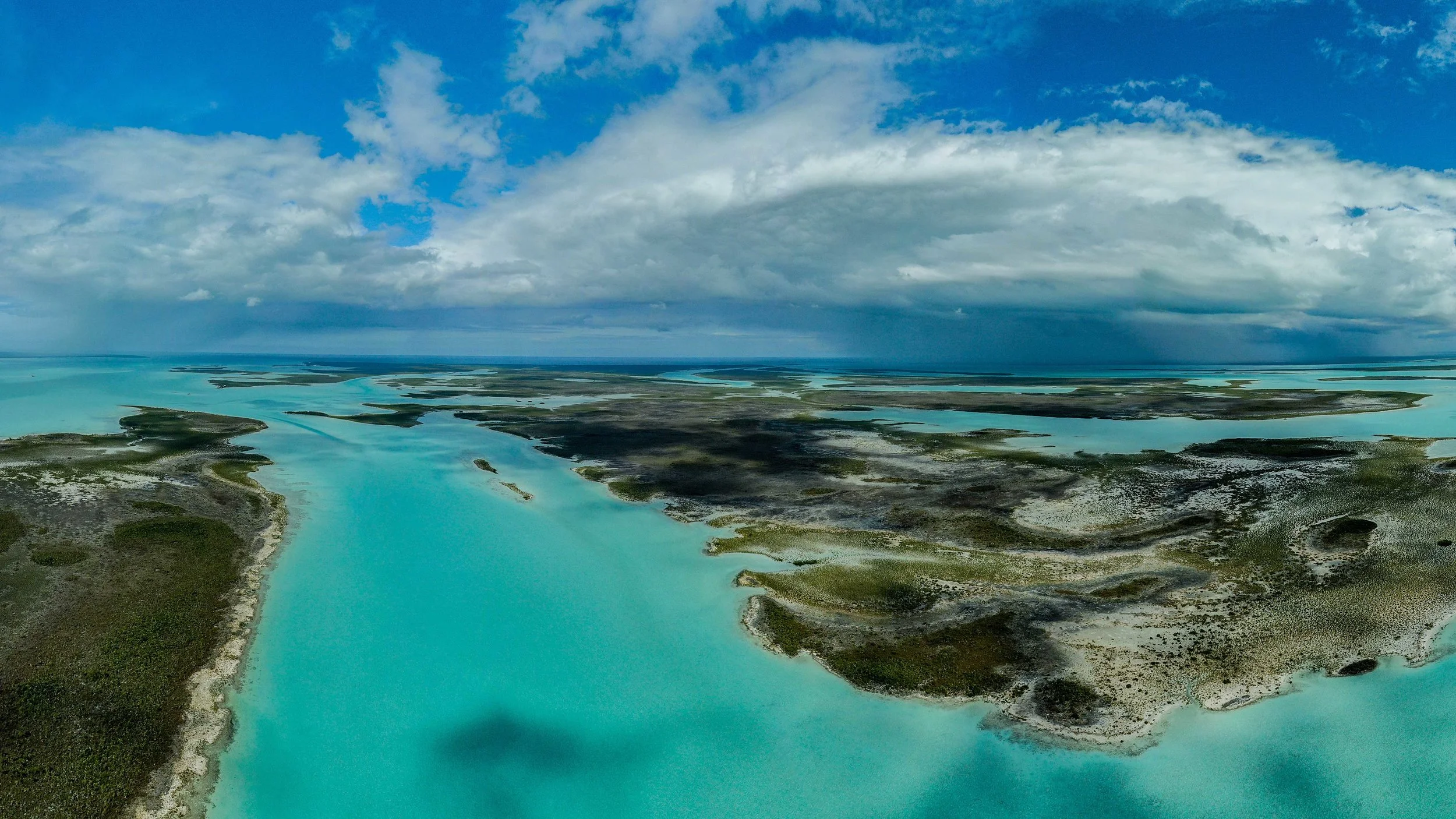 A small glimpse into the vast and beautiful habitats of Andros