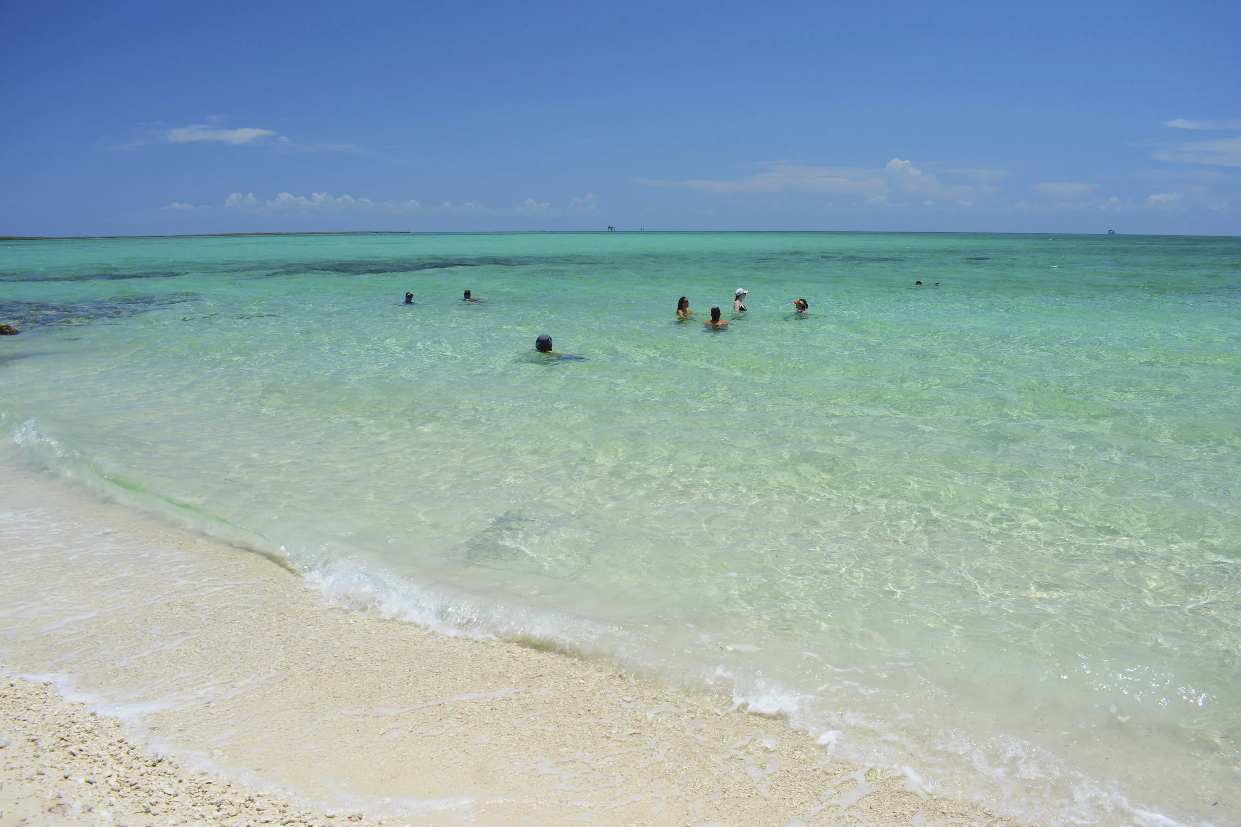 DSC_0531.jpg