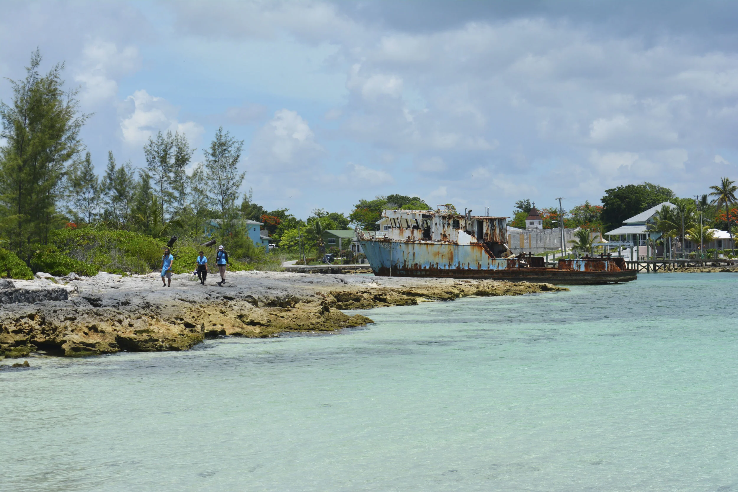 DSC_0490.jpg