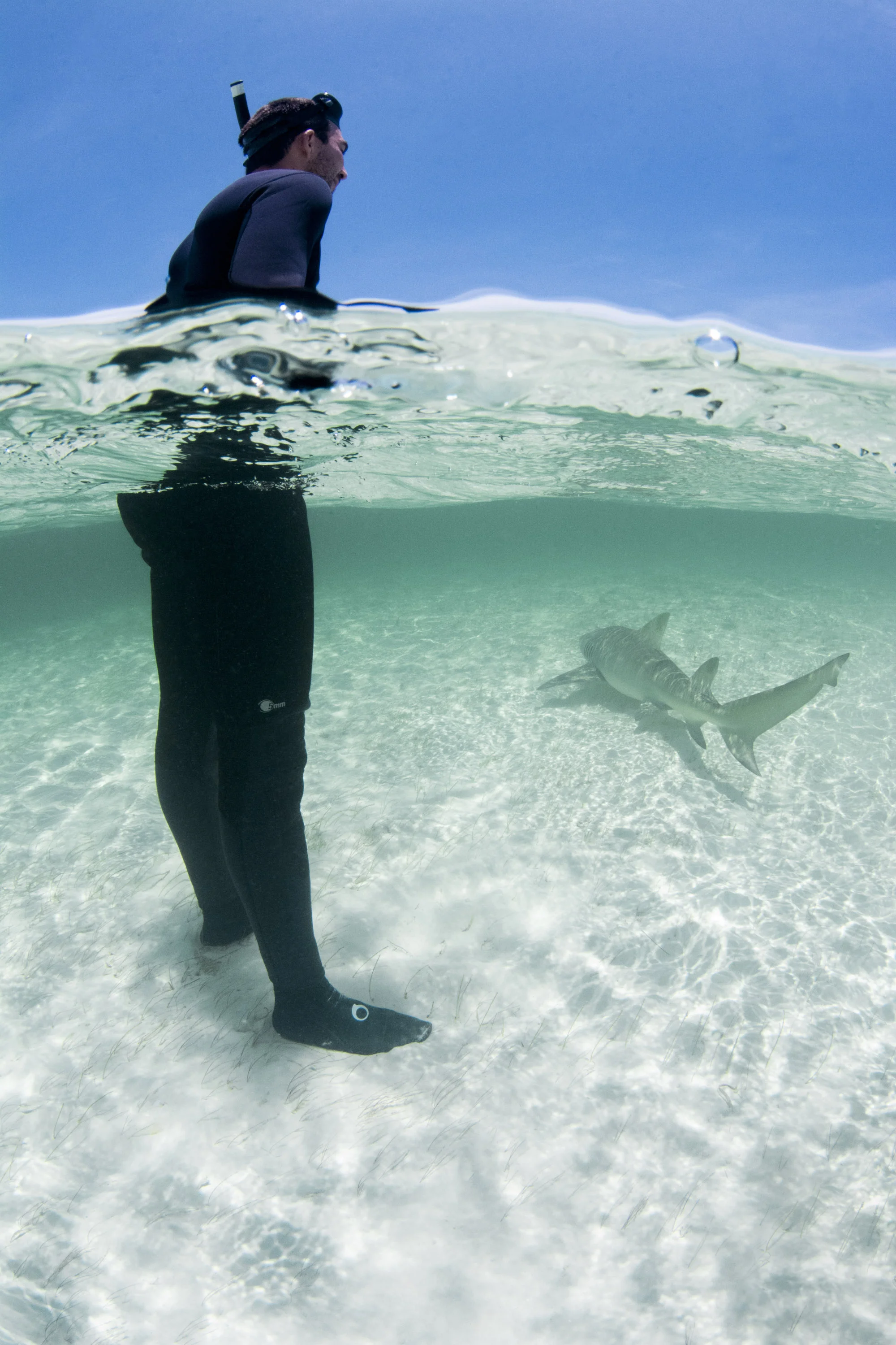 Guest Carlos watching the lemon sharks pass by