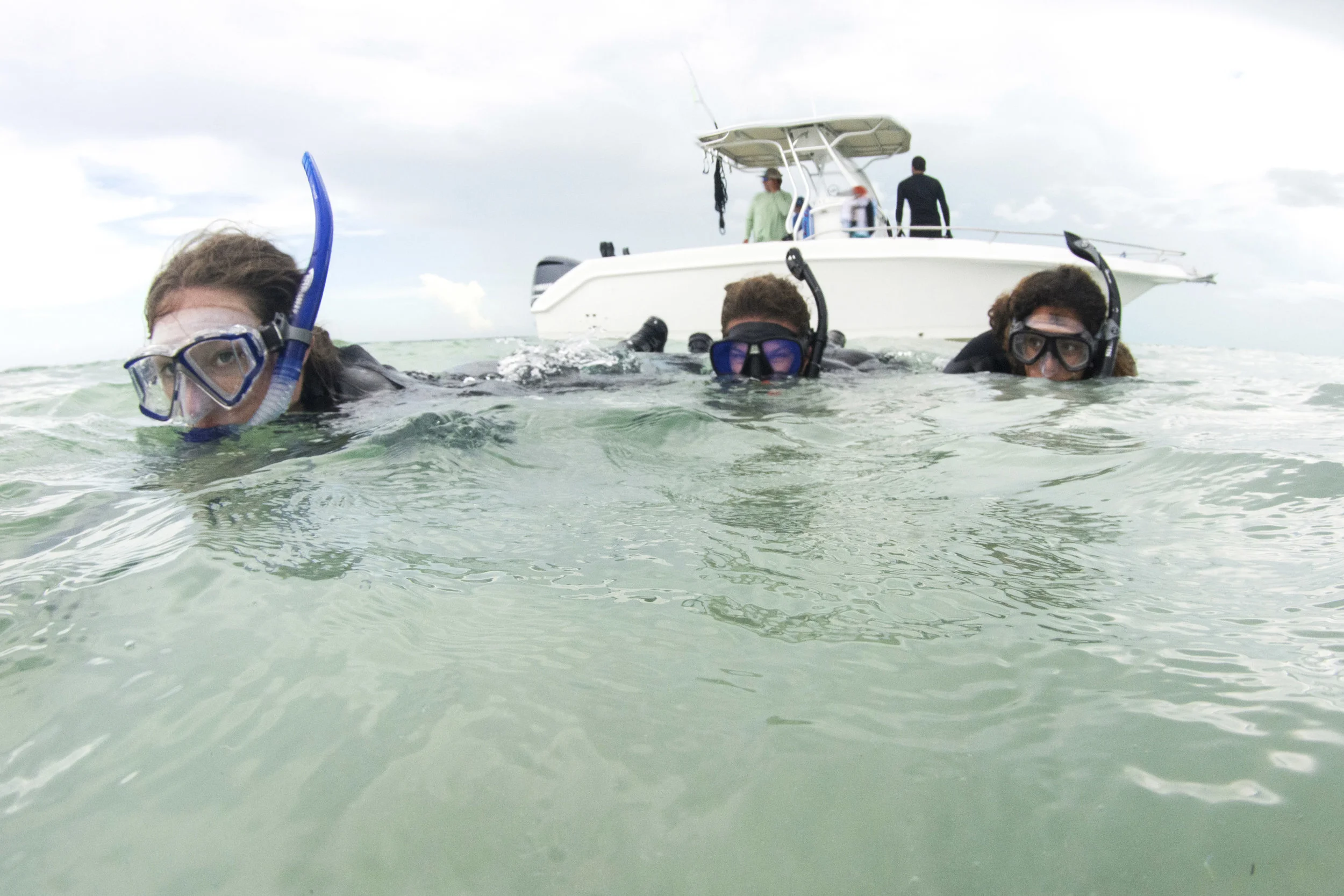 Shelby, Rosie and Mar crawl slowly towards the mangroves in less than 2ft of water