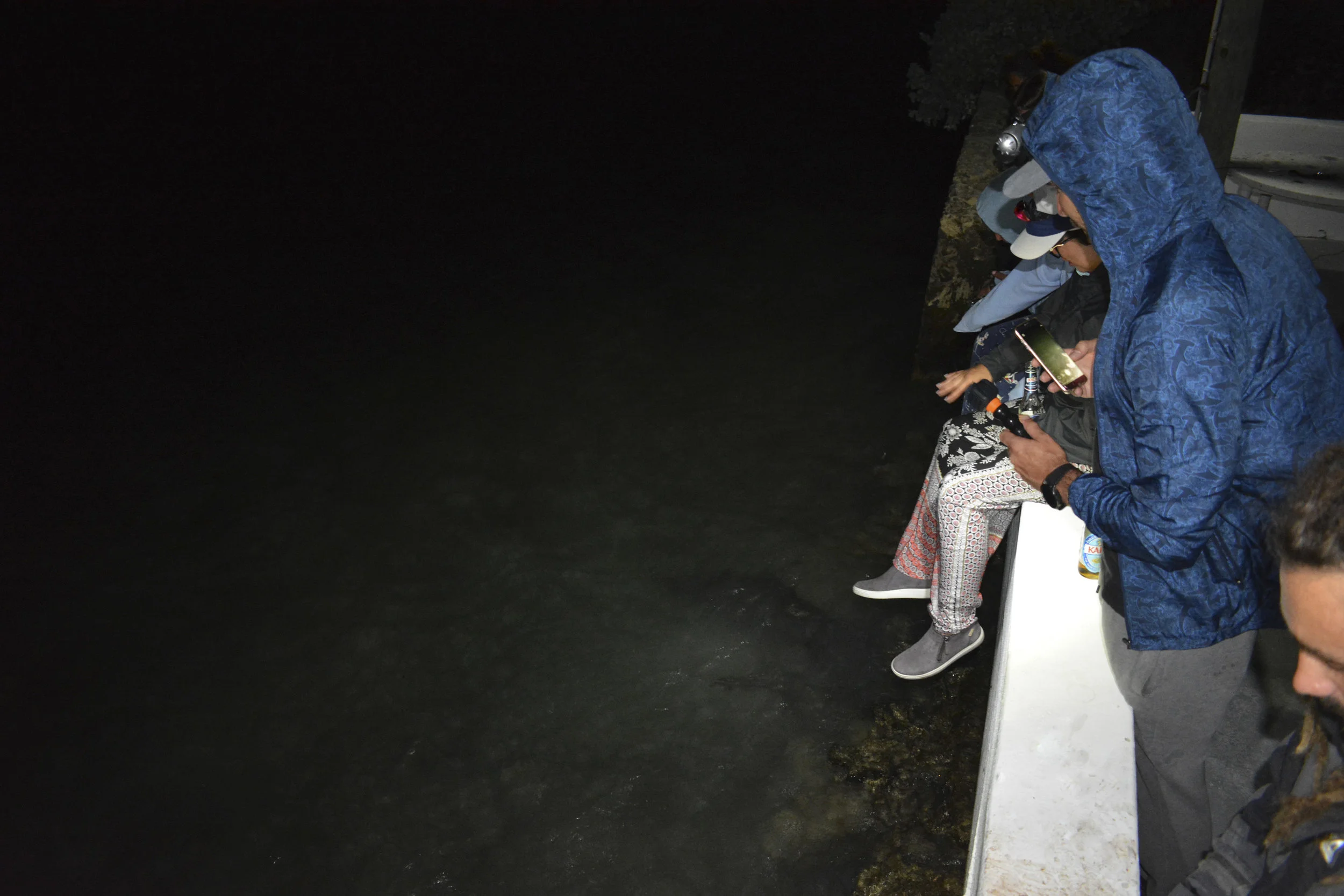 Guests enjoy some nighttime lemon shark action!