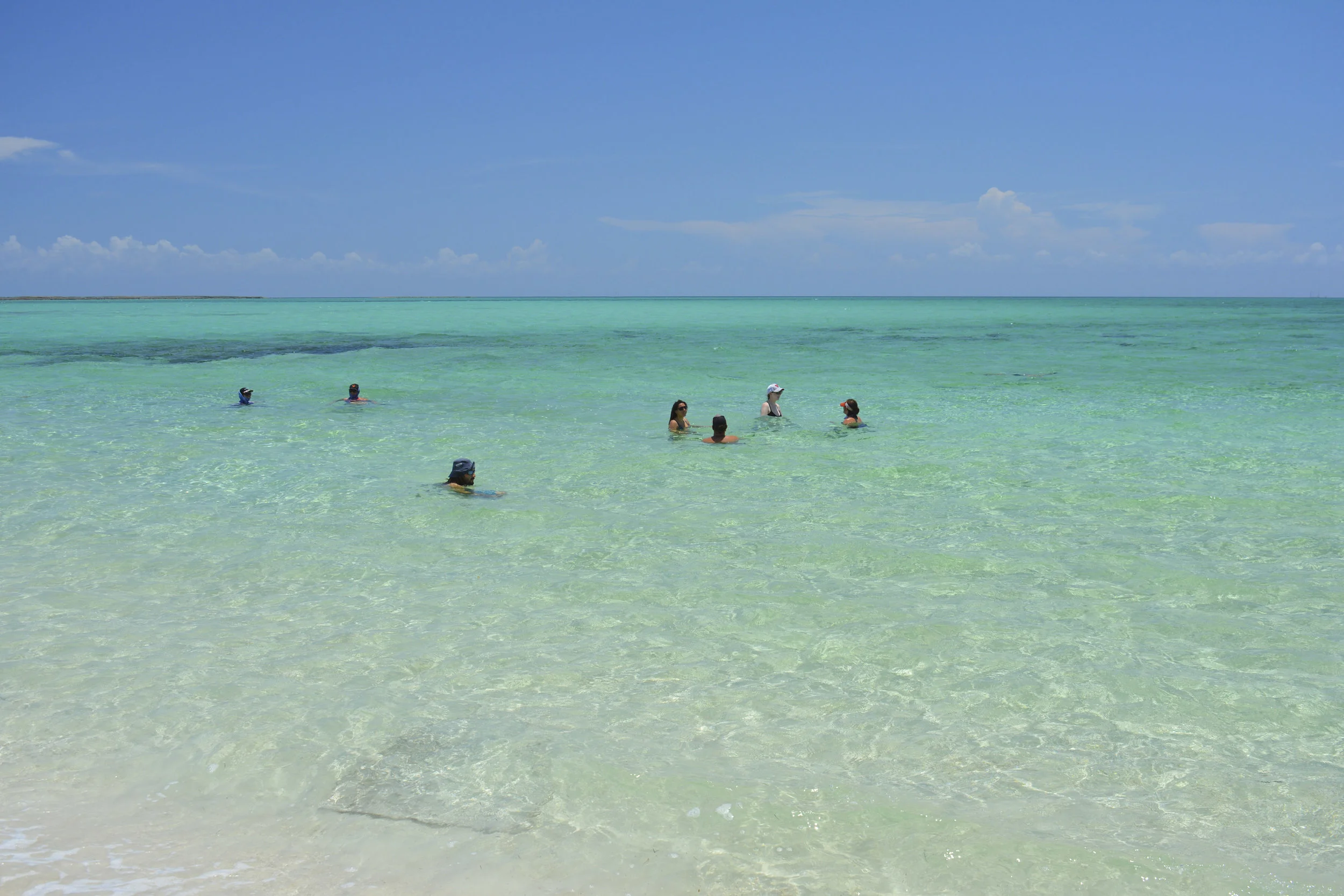 DSC_0532.jpg