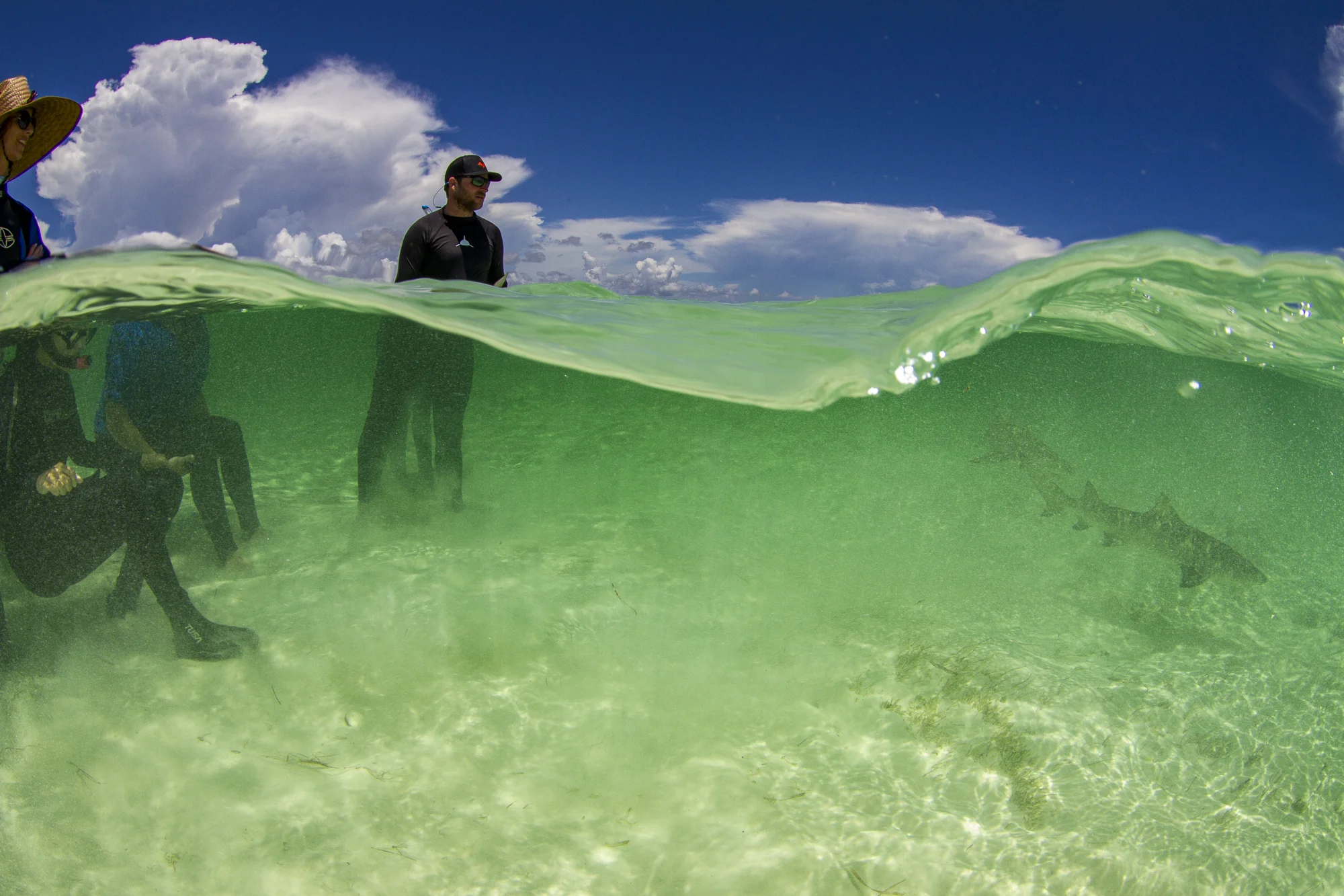Incredibly beautiful conditions
