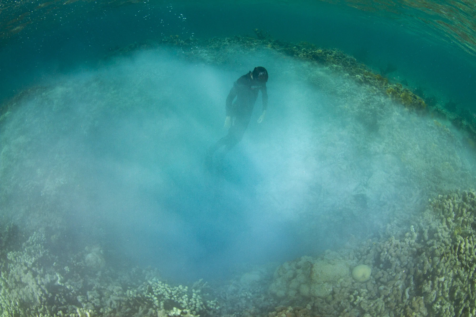 Guests enjoyed the buzz of diving just a few feet inside