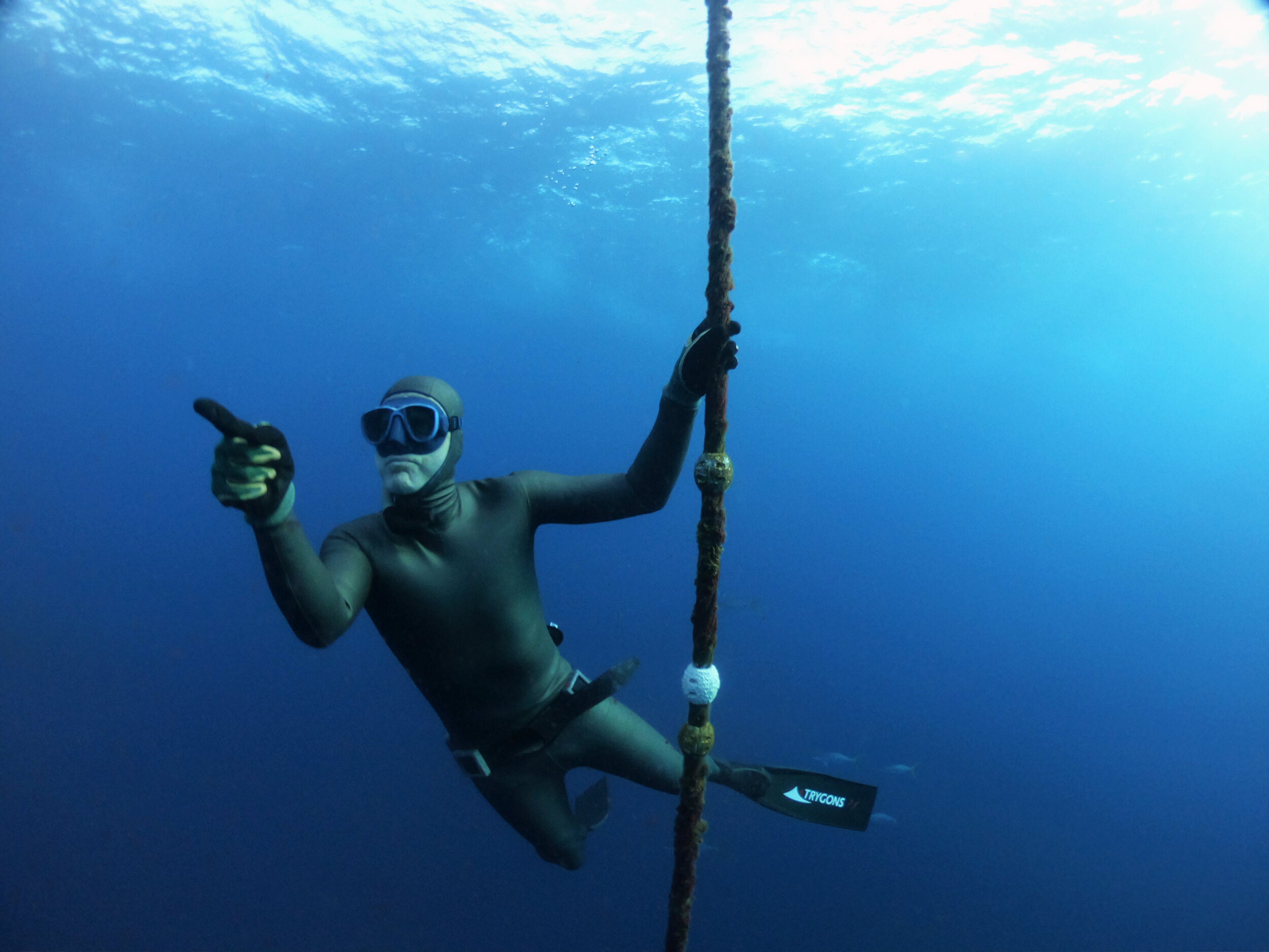 Youngbloods Spearfishing - Submerged With A Breath animated gif