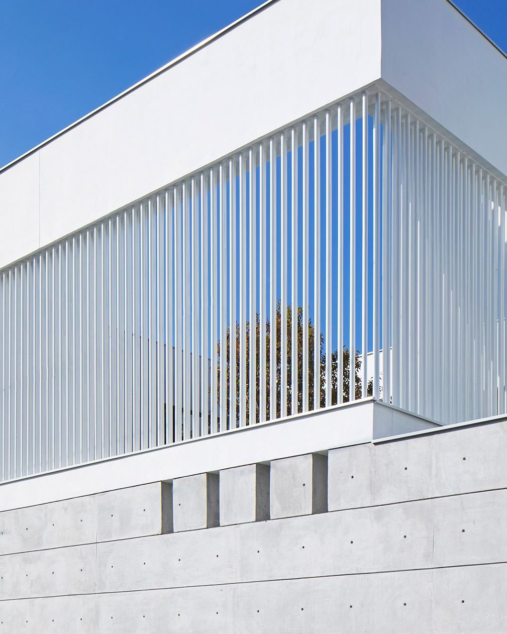 A solid concrete wall wraps into the main entry. Above, a screen of white metal pipes creates a gradient from the private interior spaces to the open-air courtyard. #CasaIthualli #MiroRiveraArchitects #MRAProjectoftheWeek @iaarq 📷 @documentacion_arq