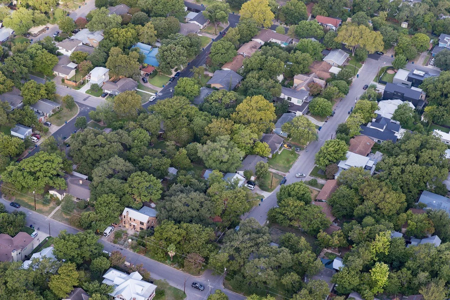 &quot;To design in a landscape city like Austin is to become familiar with heritage trees, critical root zones, rim rocks, floodplains, invasive algae, zebra mussels, sediment ponds, the nesting season of warblers, etc. It is the joy and the challeng