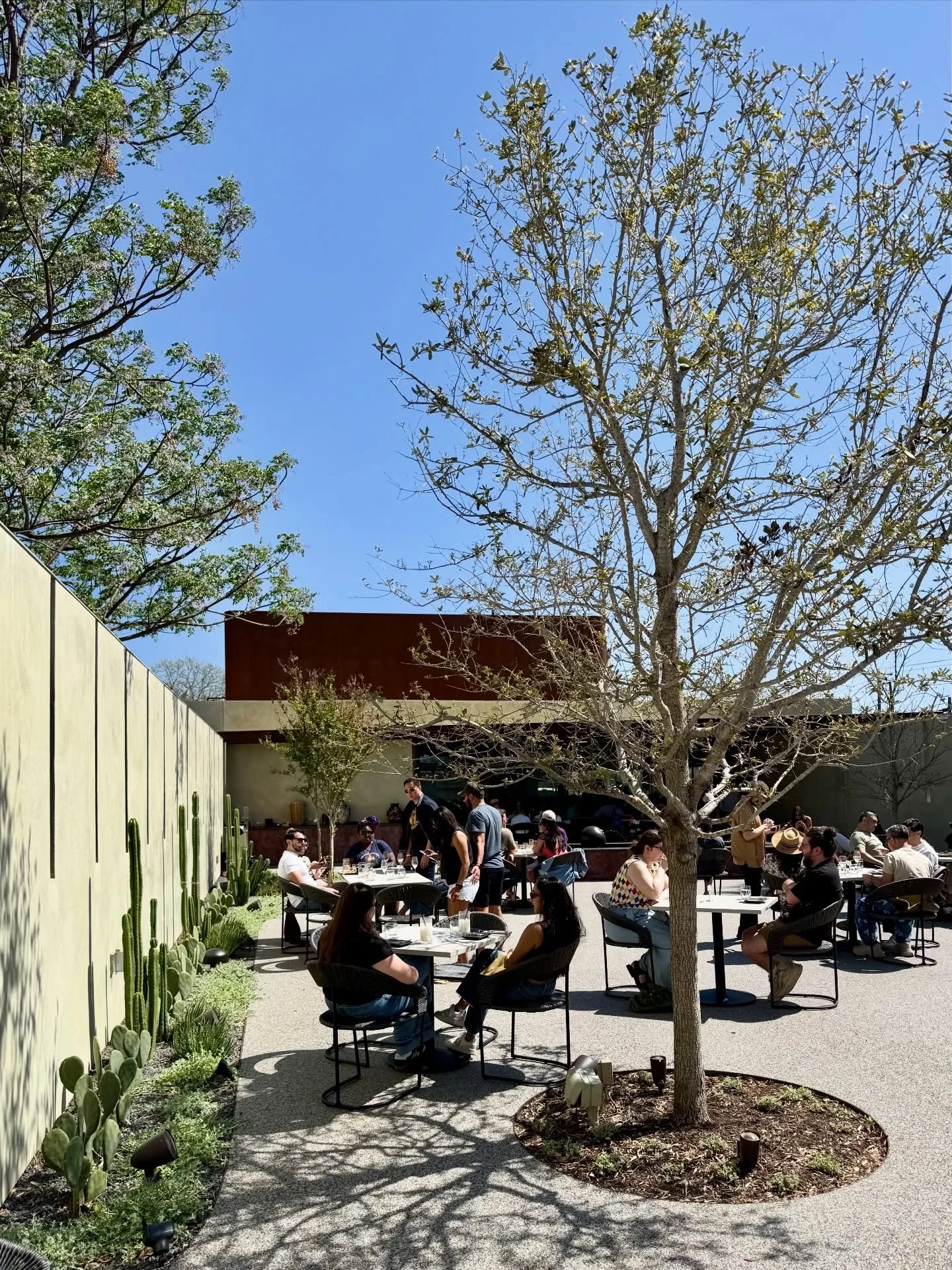 Looking to escape the SXSW crowds? Take a trip to Mexico via @tzintzuntzan.tx, our first restaurant design now open in Austin&rsquo;s Brentwood neighborhood. #MiroRiveraArchitects 📷 @in.full.circle