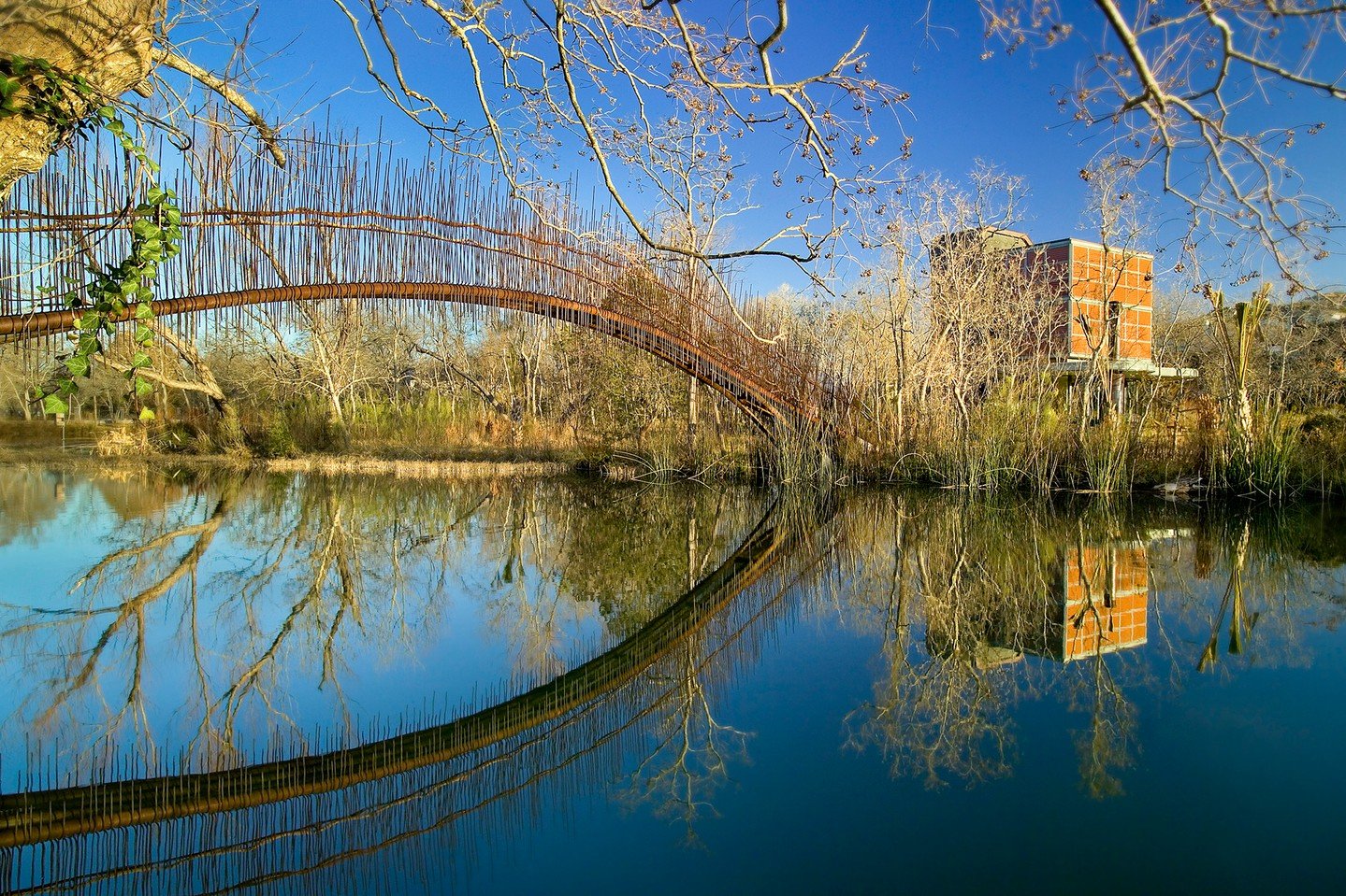 With a design inspired by the reeds and other native vegetation that cover the shores of the lake, the #PedestrianBridge is a light and maintenance-free structure. The bars/reeds intertwine at the abutments and &ldquo;grow&rdquo; over the bridge, cam