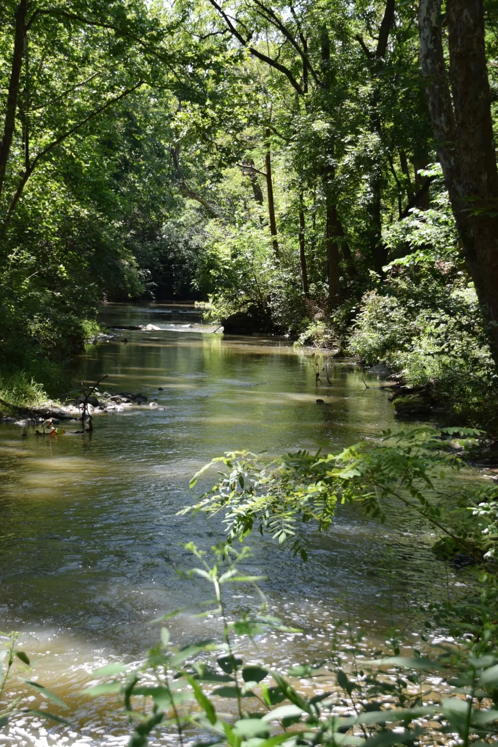 Valley Mills Farm Photo Gallery