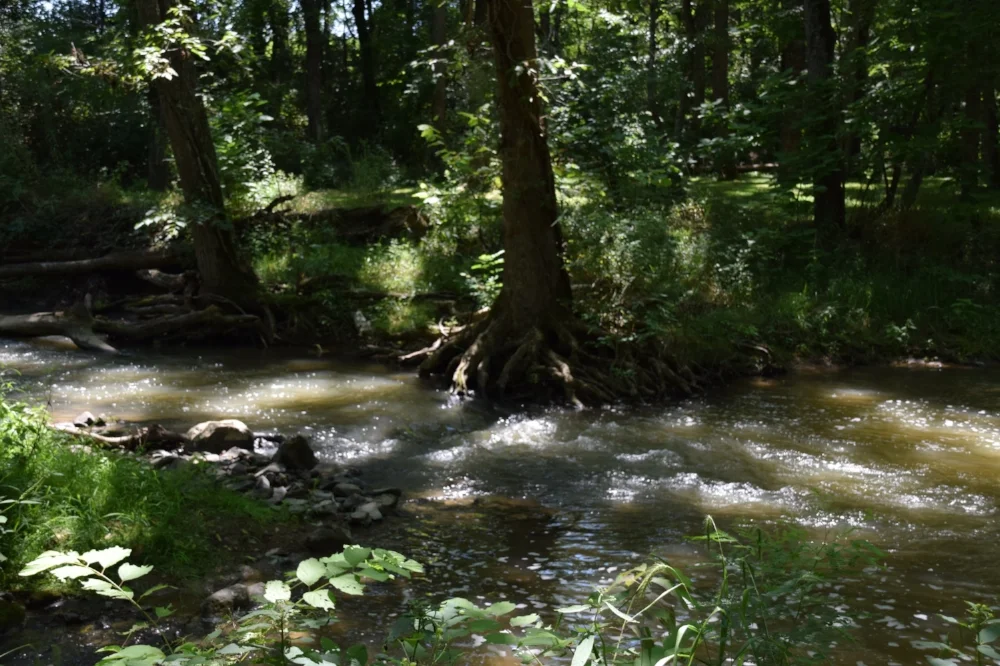 Valley Mills Farm Photo Gallery