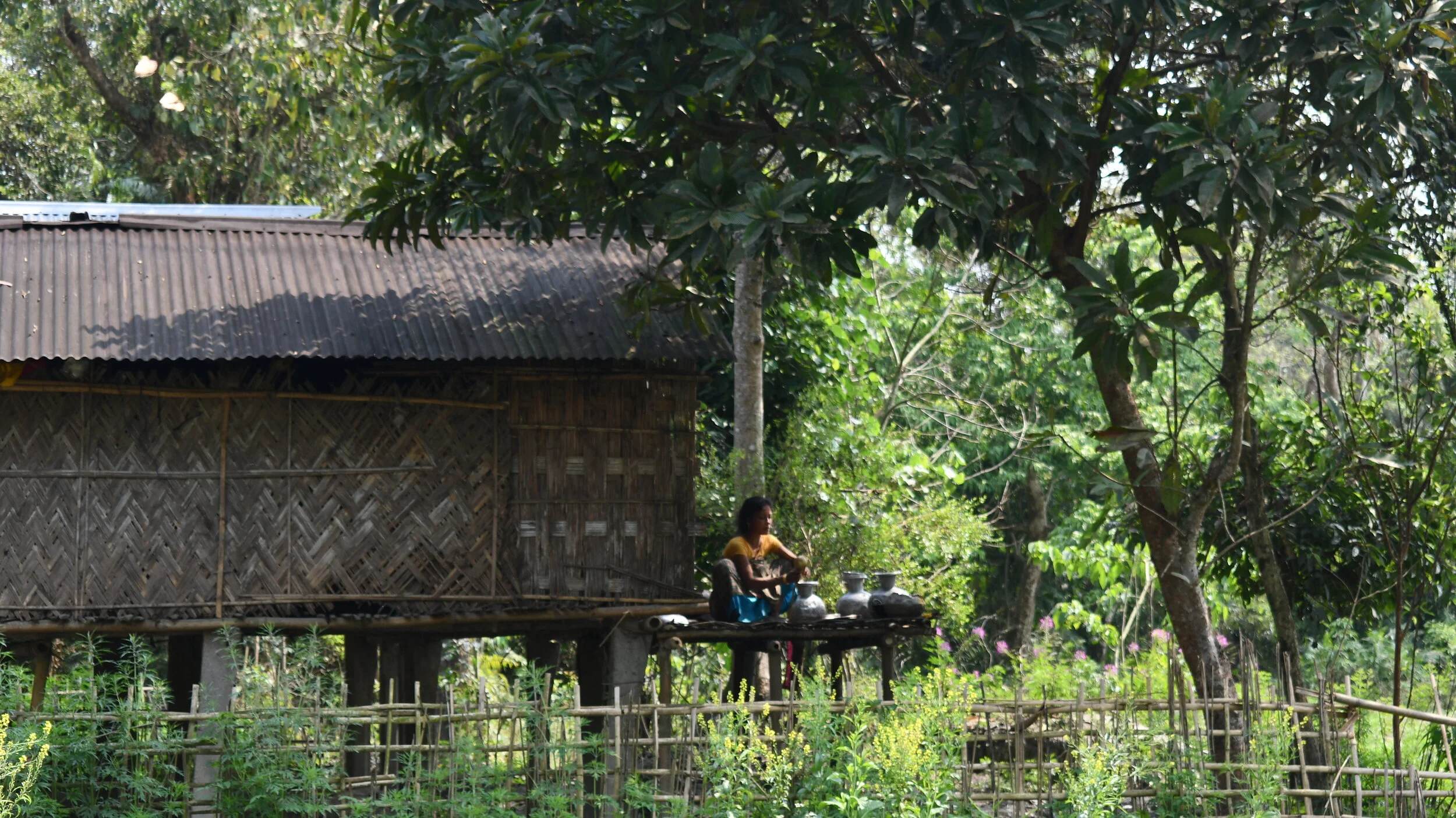 North East- Assam