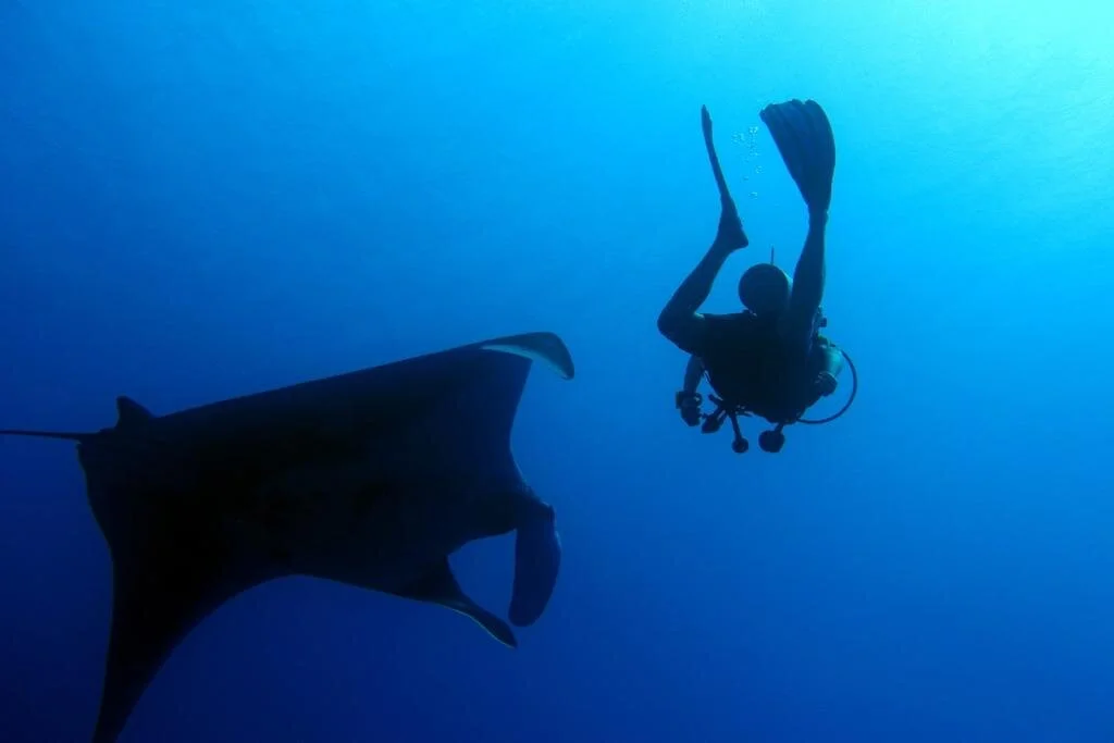 Me and manta.jpeg