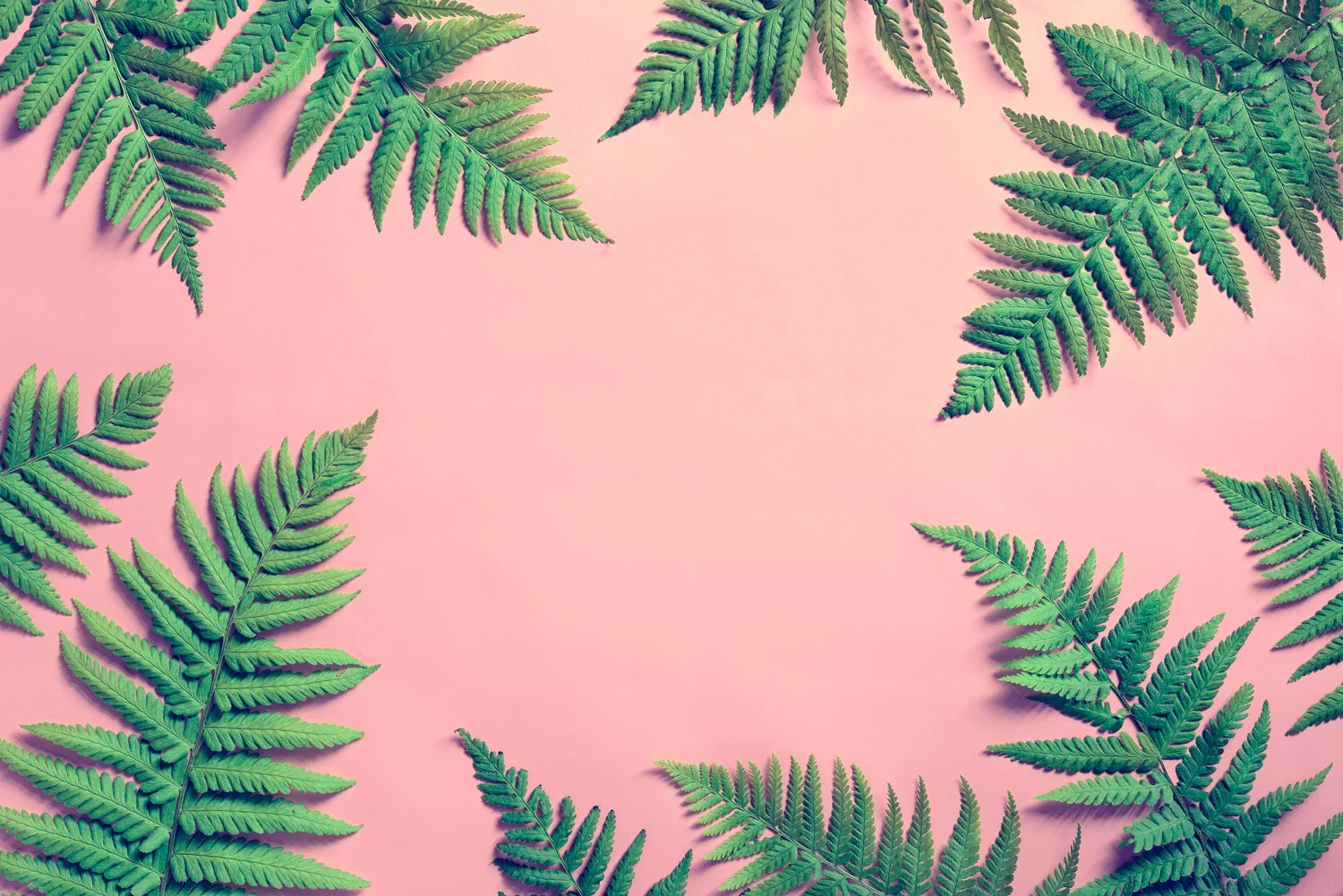 AdobeStock_120947253.jpg