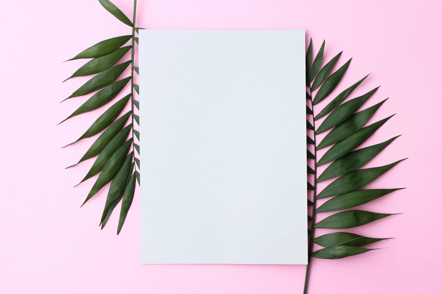 AdobeStock_202292129.jpg