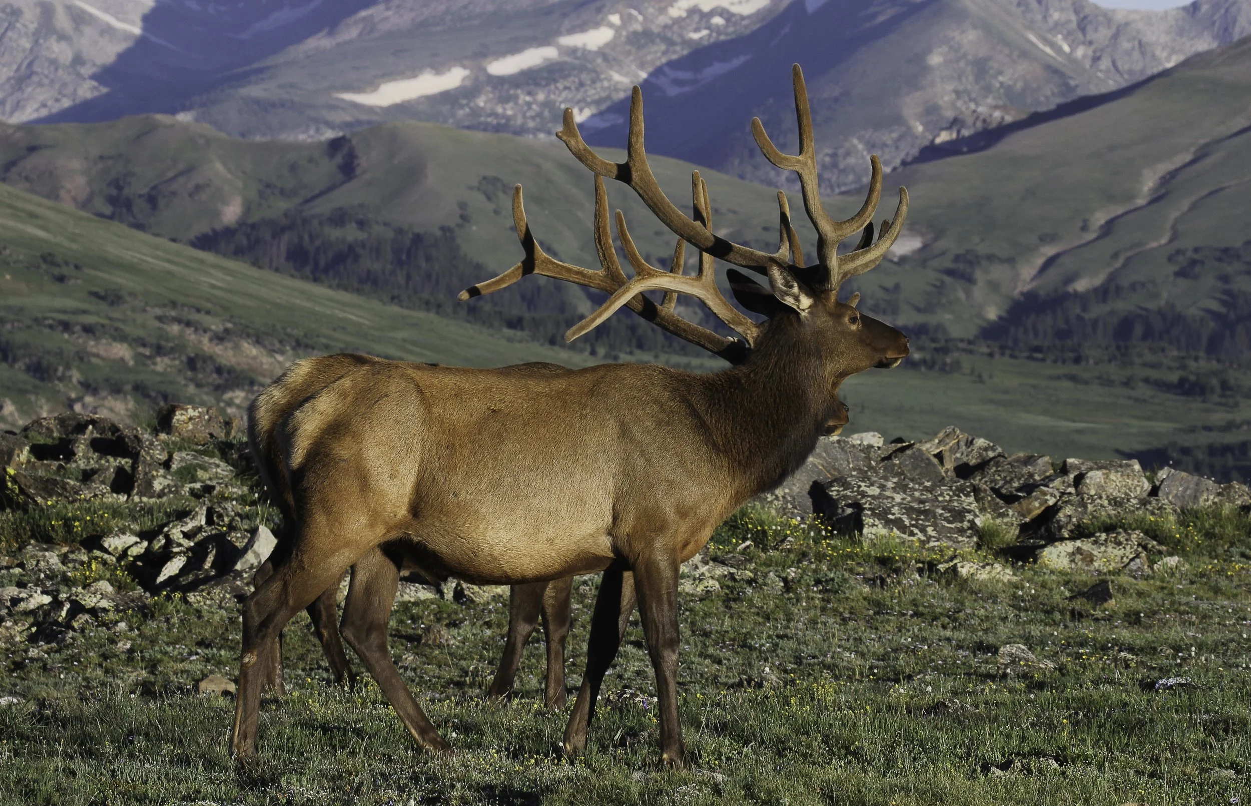 20130721 RMNP 014.JPG
