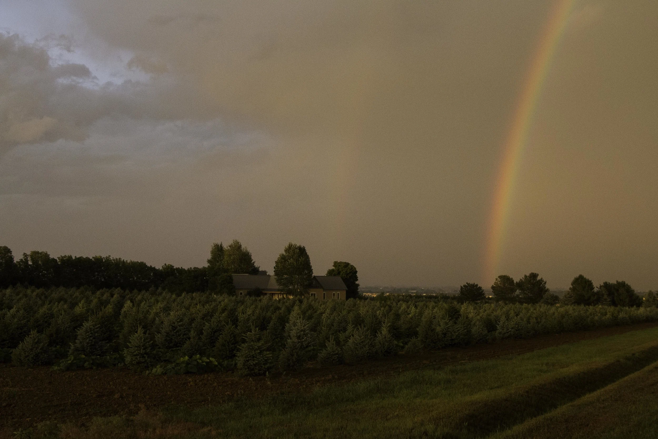 20140718 misc 017.JPG