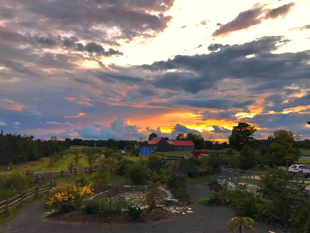 sunset-1.jpg