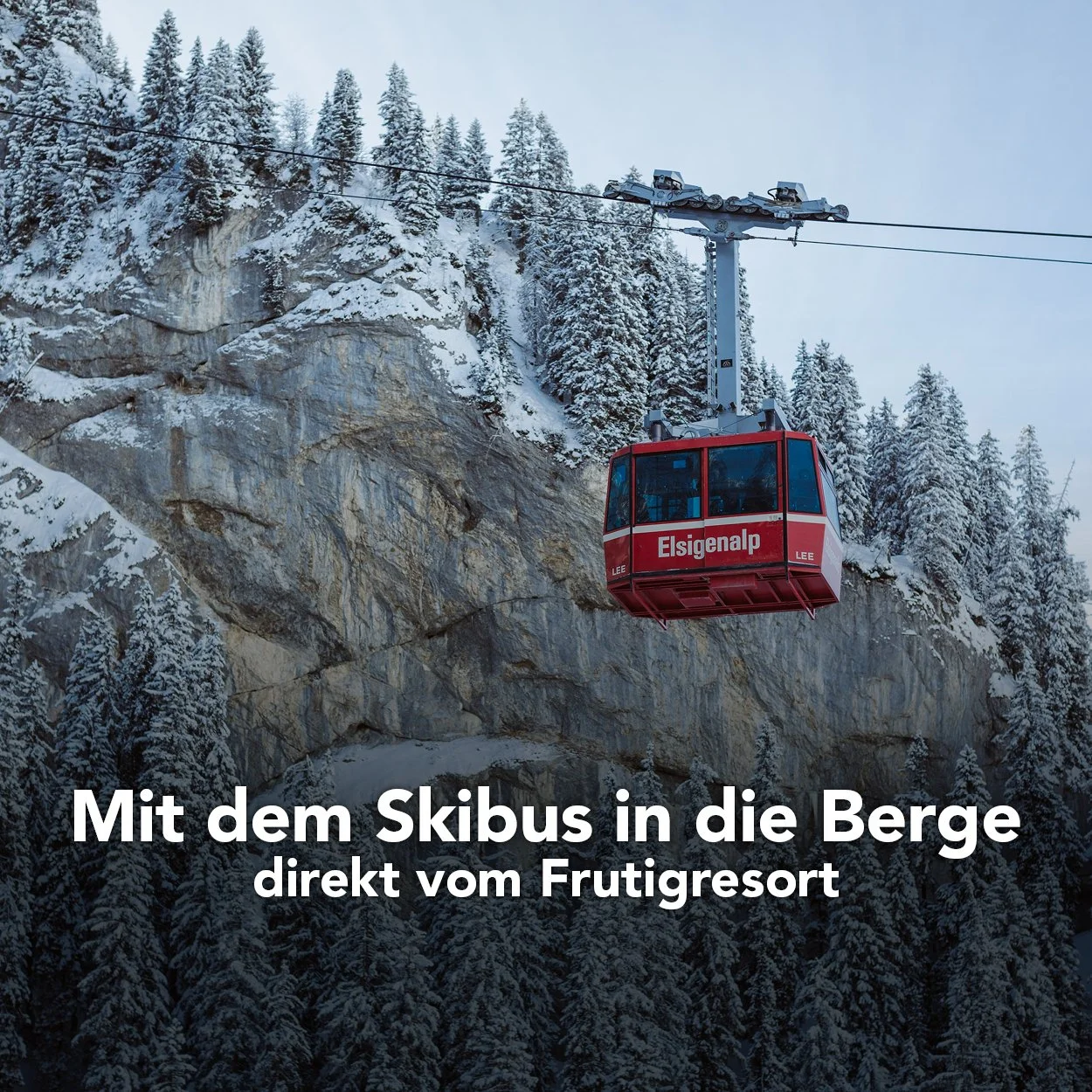 Skibus.jpg