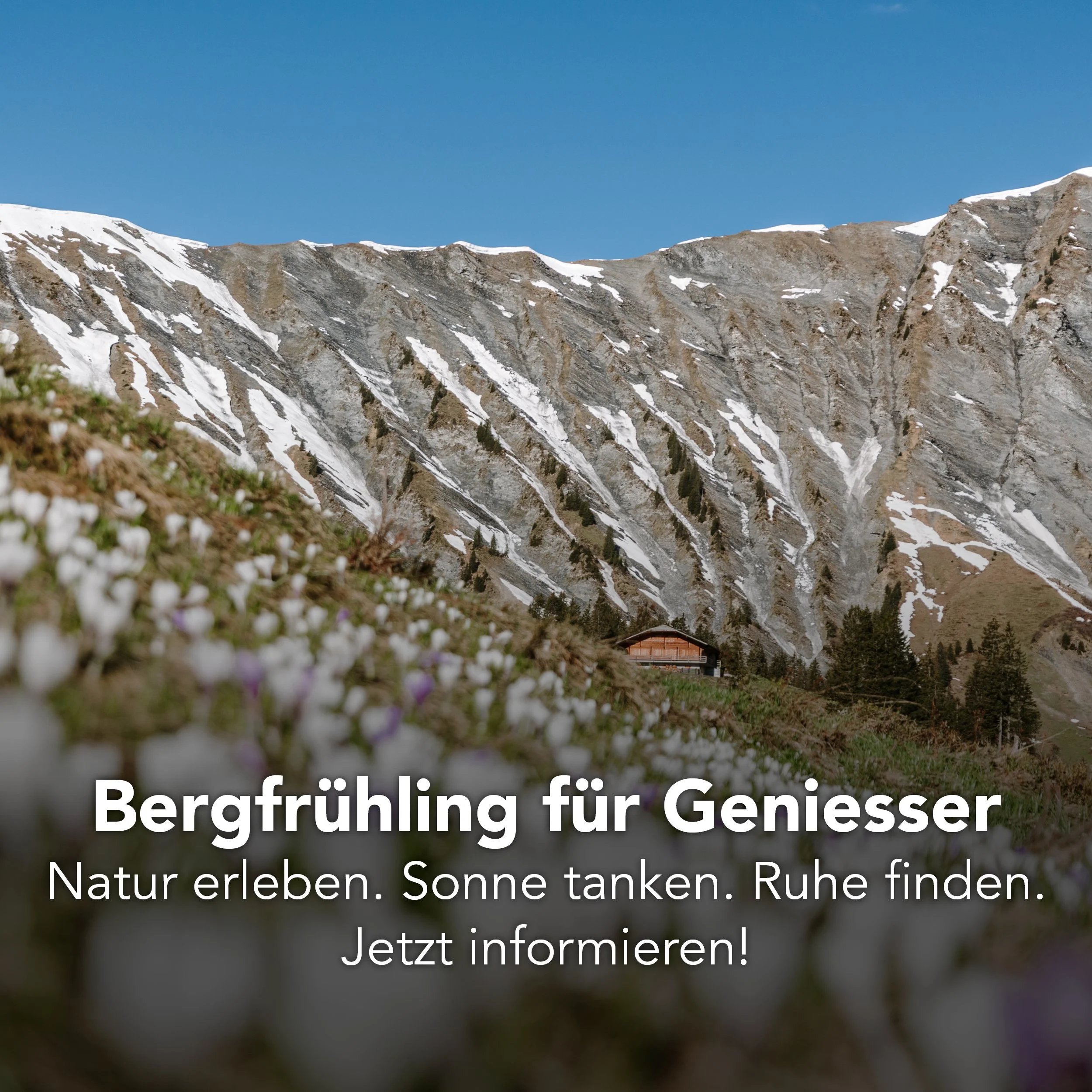 Bergfrühling für Geniesser.jpg