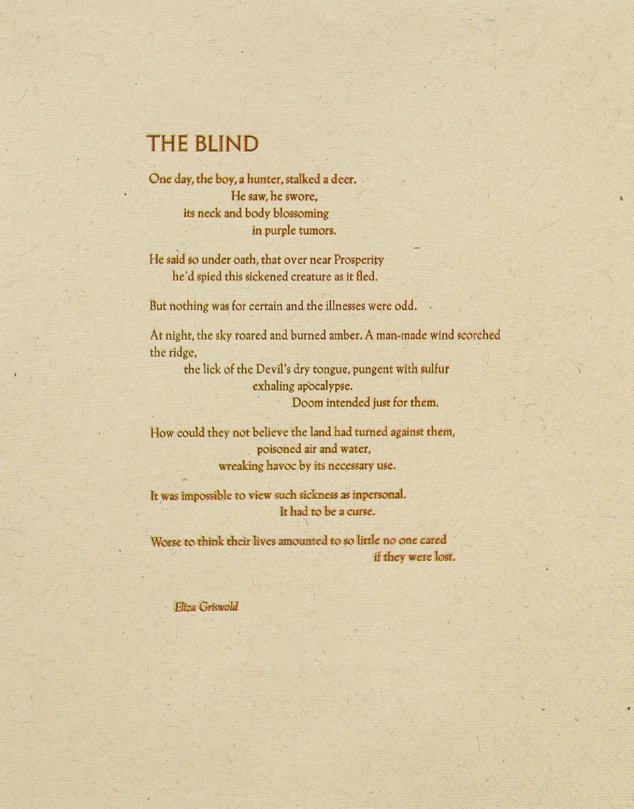 the blind.jpg