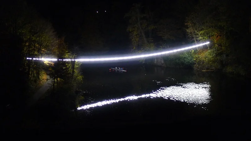 rowers+2.jpg