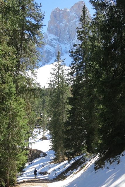 Dolomites+web.jpeg