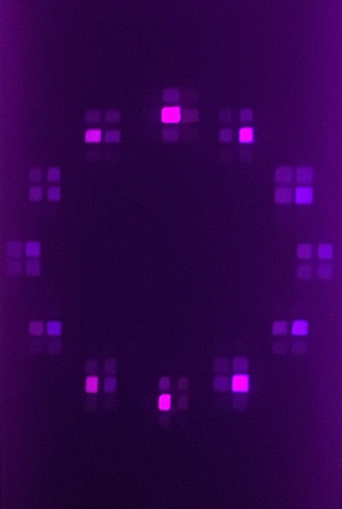 Purple squares