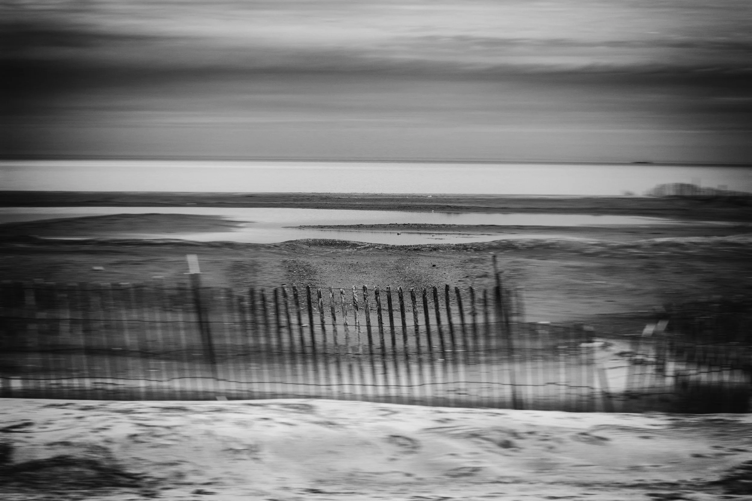 DSC_2754-Editar-3.jpg