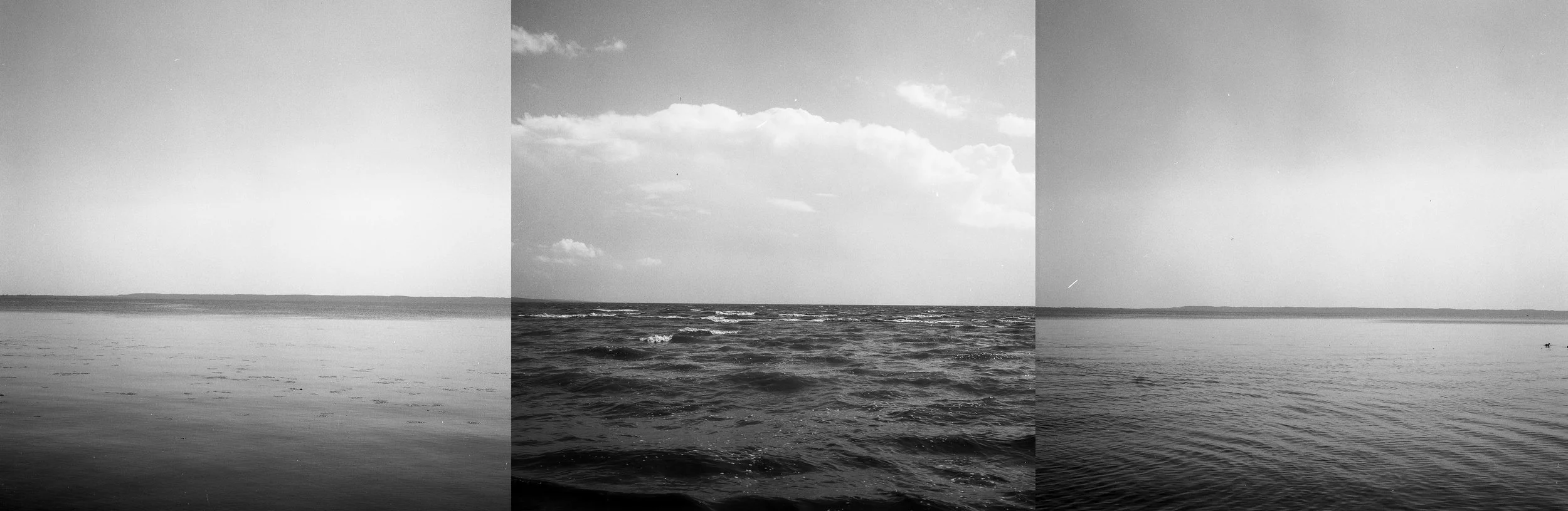 horizonte tres fotos.jpg
