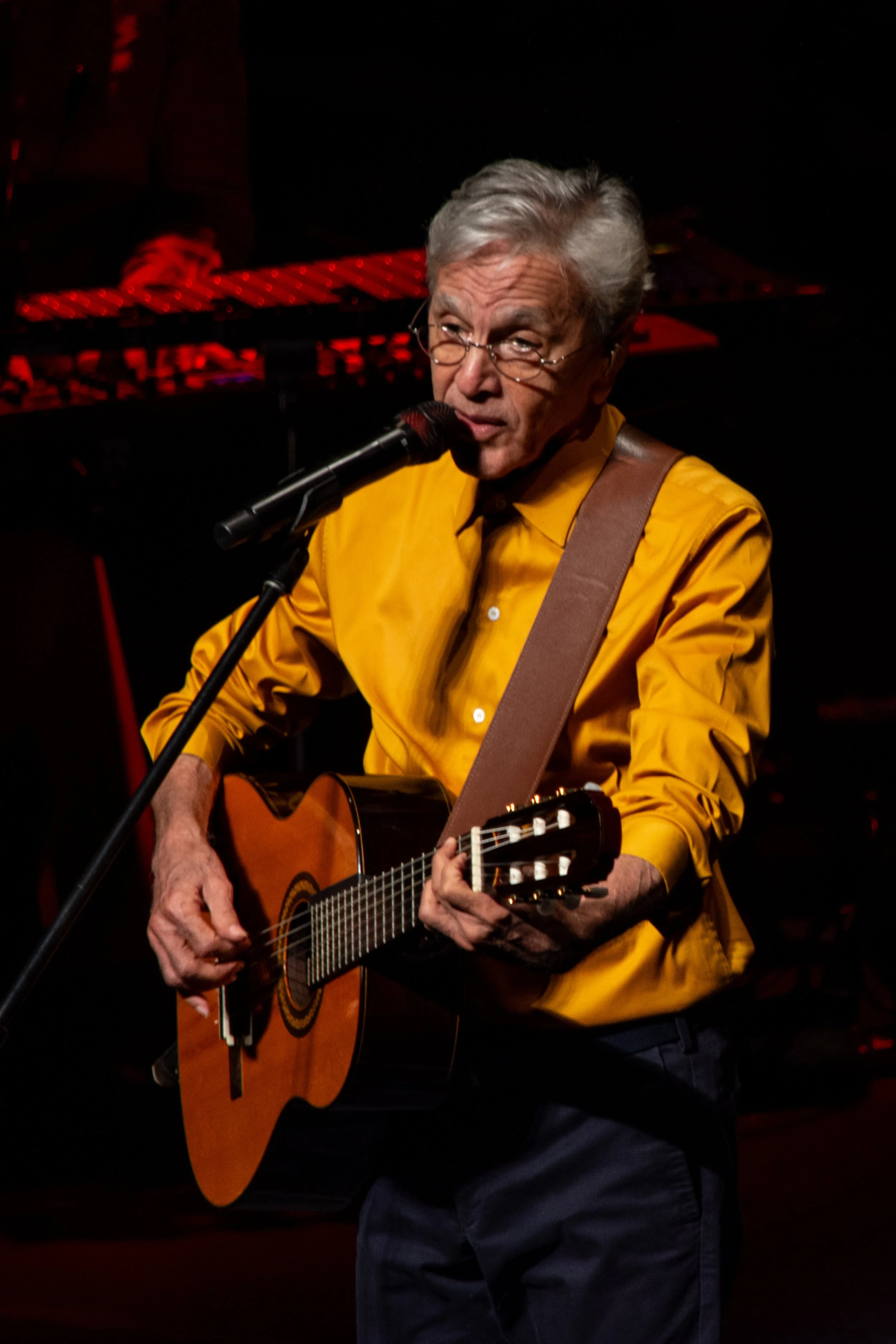 Cetano Veloso, Brazilian Singer and Composer