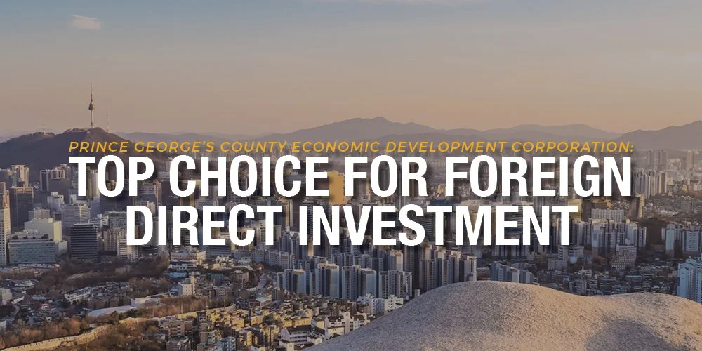 south keorea banner.jpg