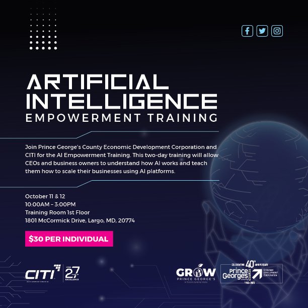 Artificial Intelligence Empowerment Training