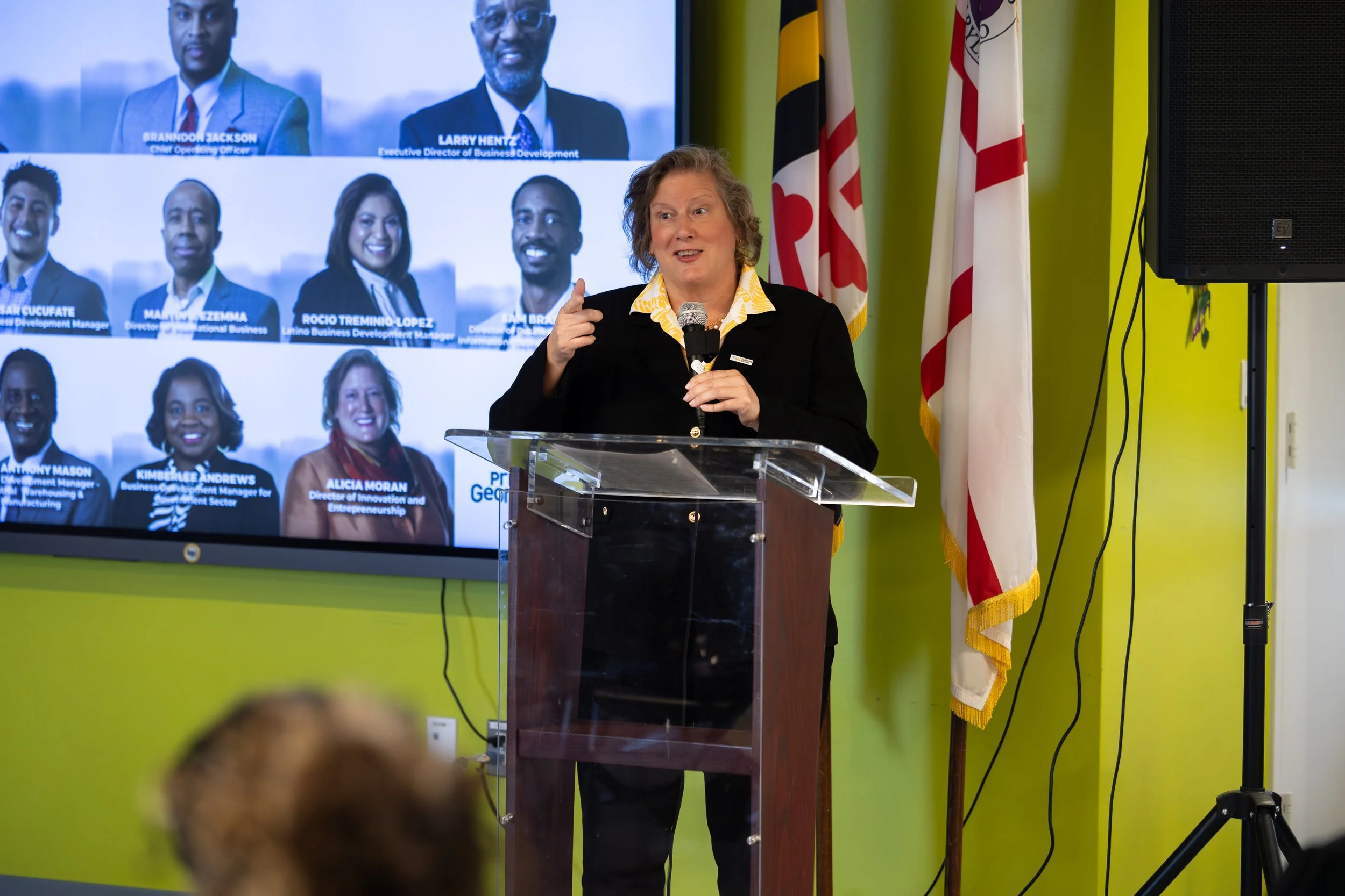 ISBI_DemoDay-8.jpg
