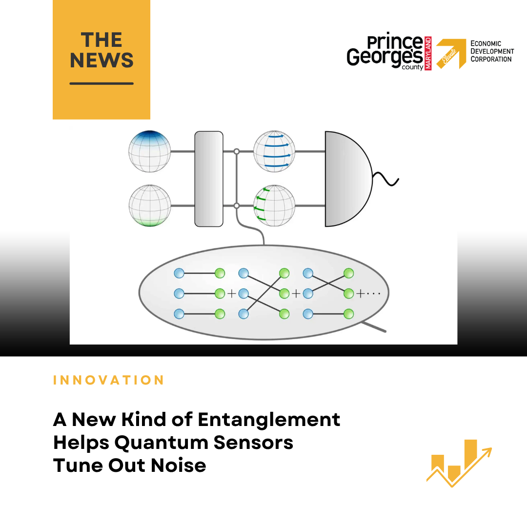 A New Kind of Entanglement Helps Quantum Sensors Tune Out Noise