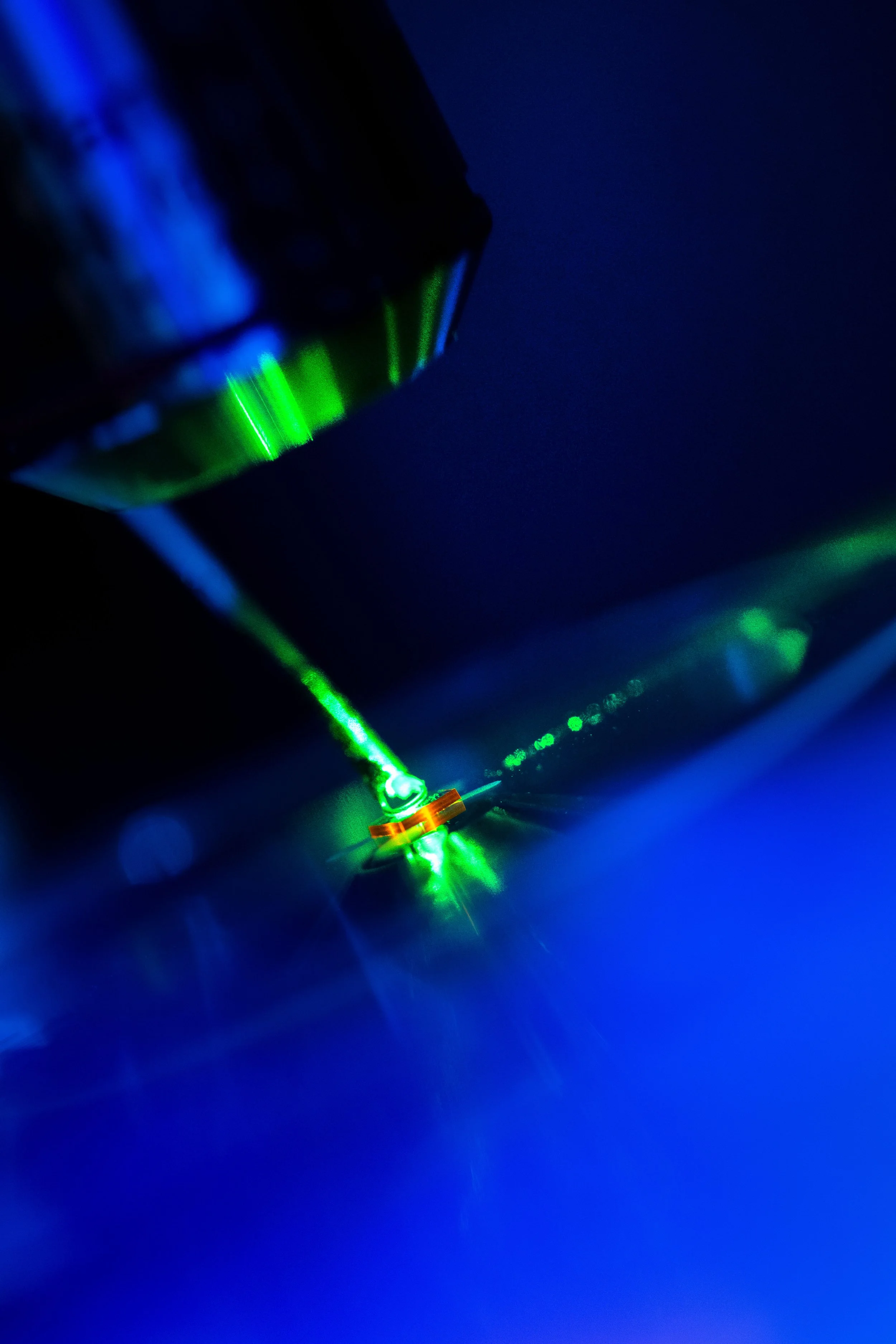 QuantumLab_WalsworthRonald_01312025_JC_9806_DAM.jpg
