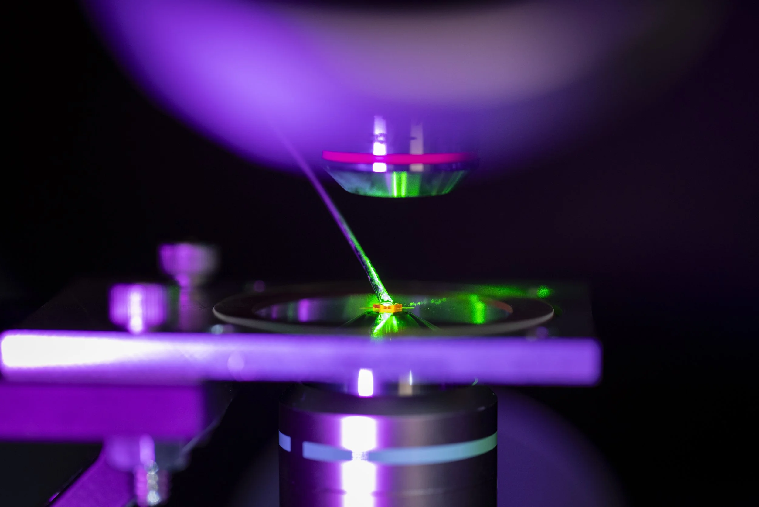 QuantumLab_WalsworthRonald_01312025_JC_9725.jpg