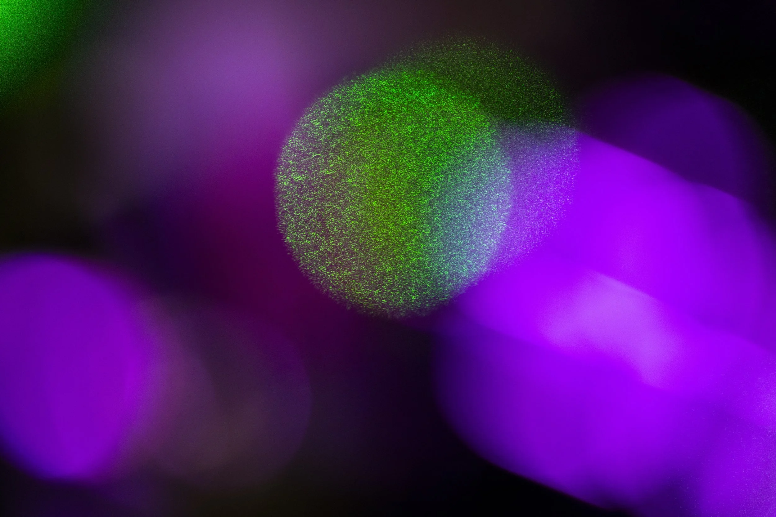 QuantumLab_WalsworthRonald_01312025_JC_9718.jpg