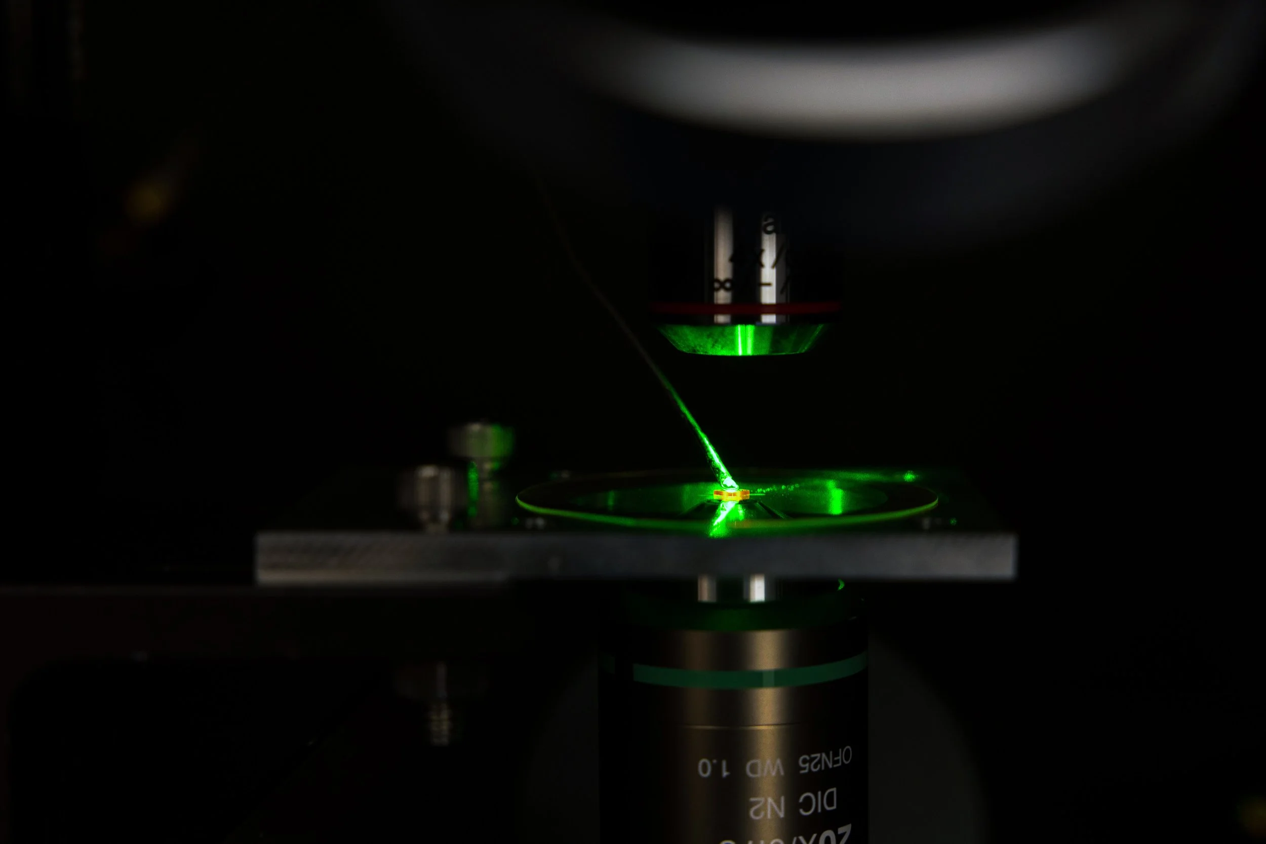 QuantumLab_WalsworthRonald_01312025_JC_9619_DAM.jpg