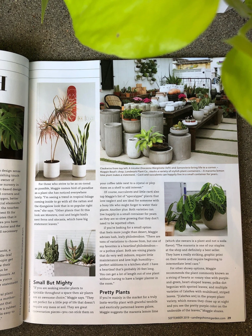 In the News  LANDMARK Plant Co.
