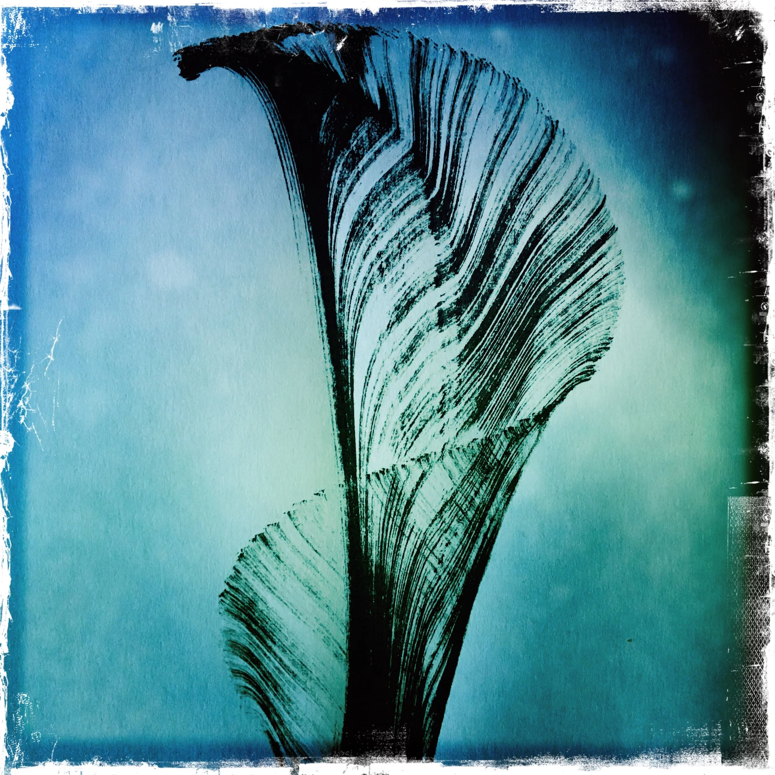HipstamaticPhoto-552700587.701741.jpg
