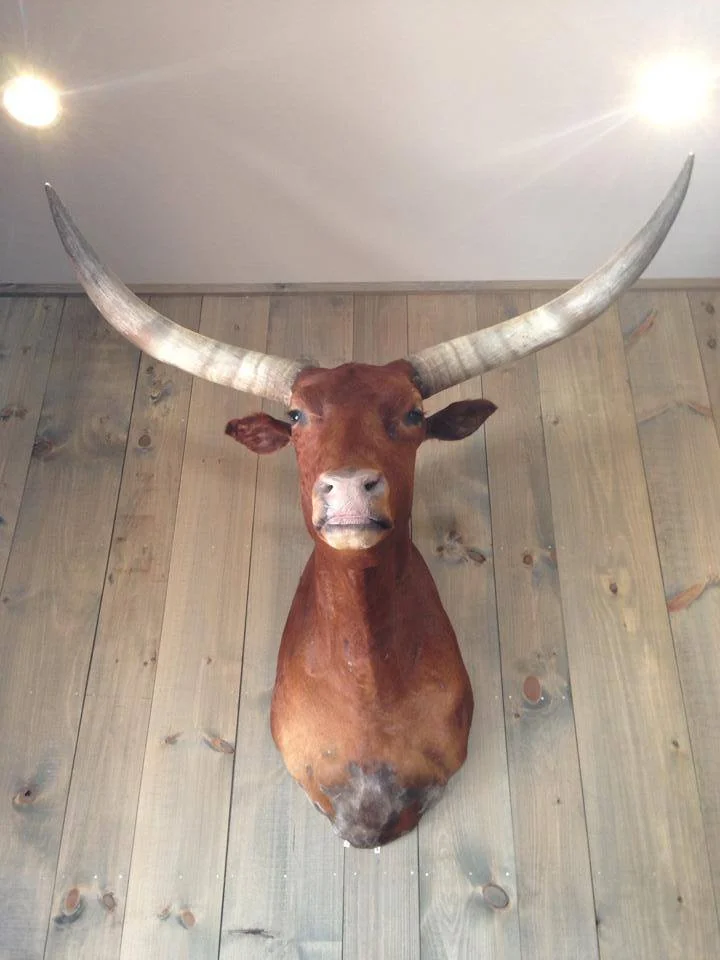 Greeted at the door by what?