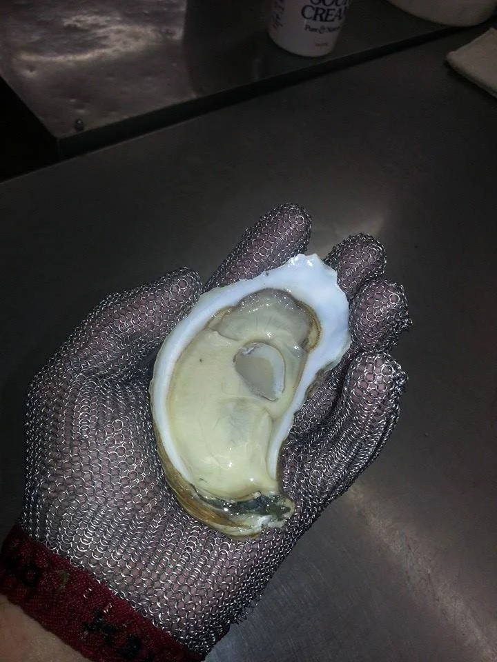 "the steel hand" comes to the Old Causeway