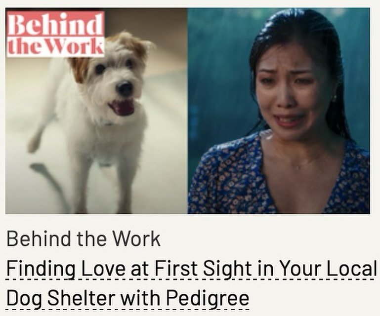 @landiagram director, Lucas Shannon&rsquo;s latest Pedigree campaign with @bbdo in @lbbonline.
🔗link to the article in our bio