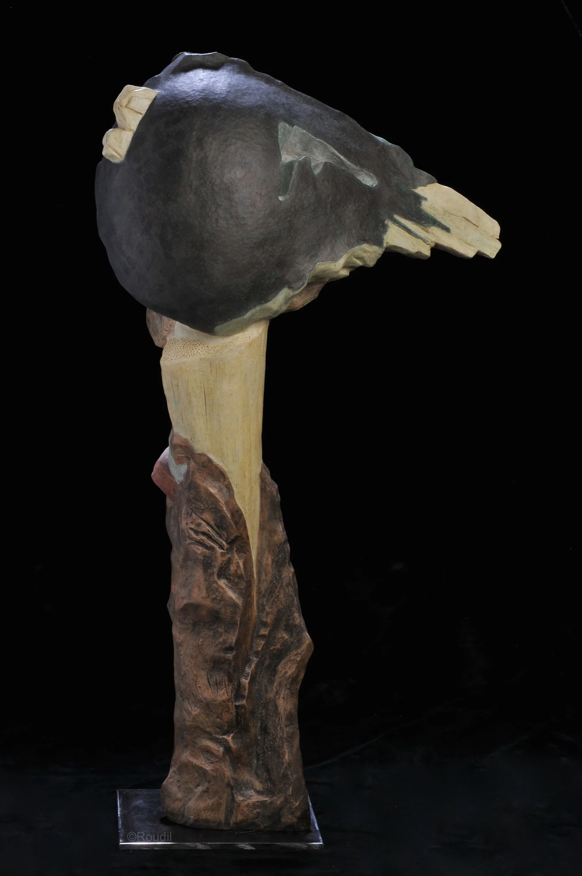 ROUDIL_comme une aile 70 cm 1339-WM.jpg