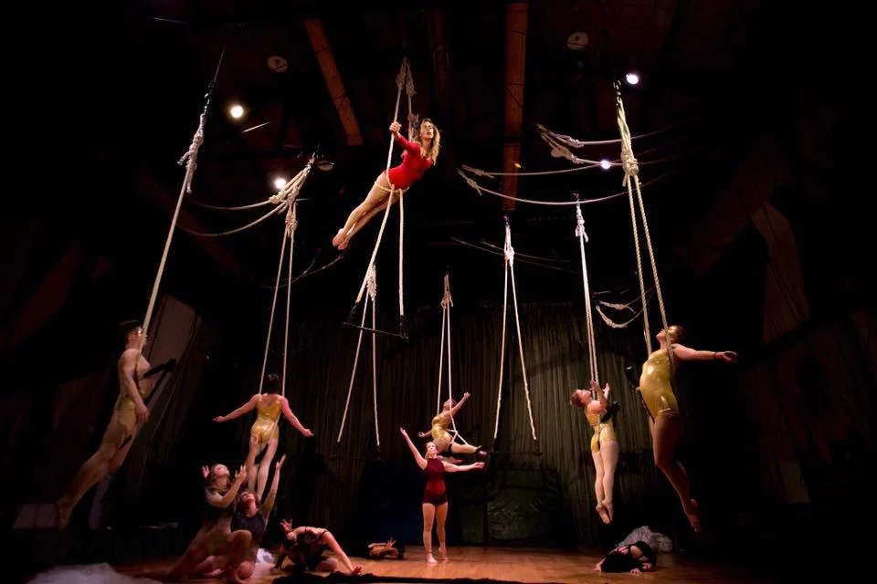 'Juniper' Adapted for Aerial Dance!