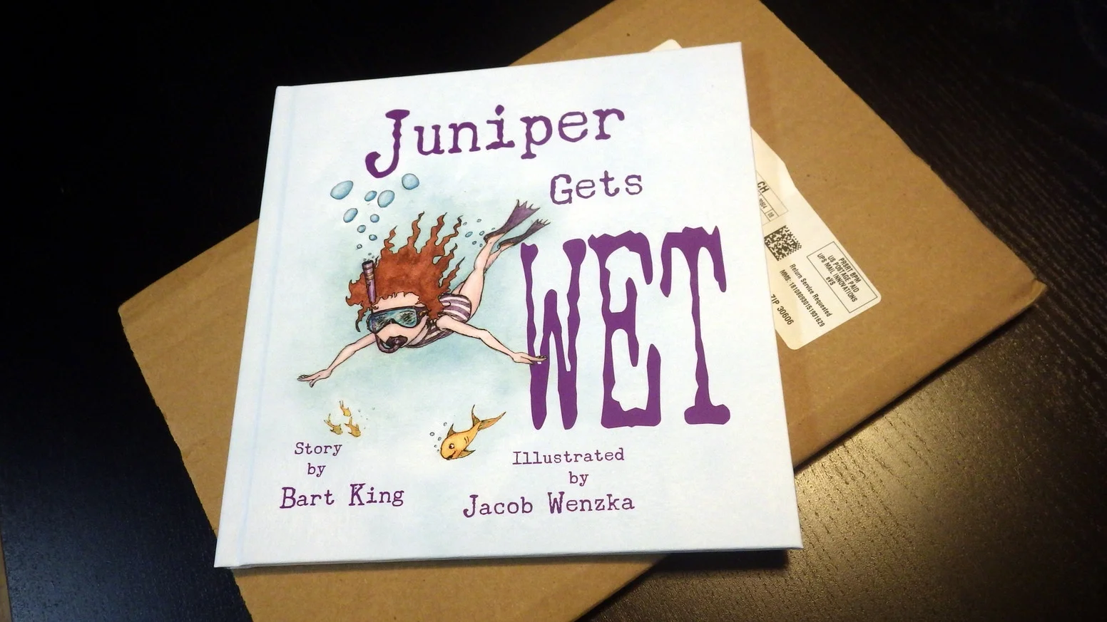 The Kickstarter that Started It All